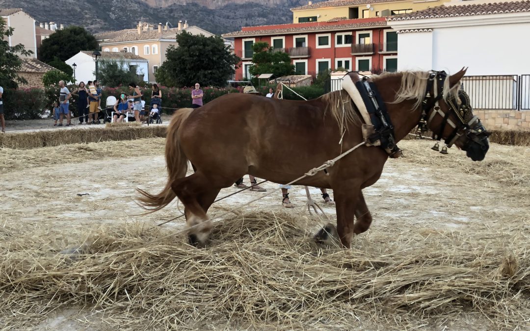 La Festa del Batre, un aplec que recupera cançons populars oblidades