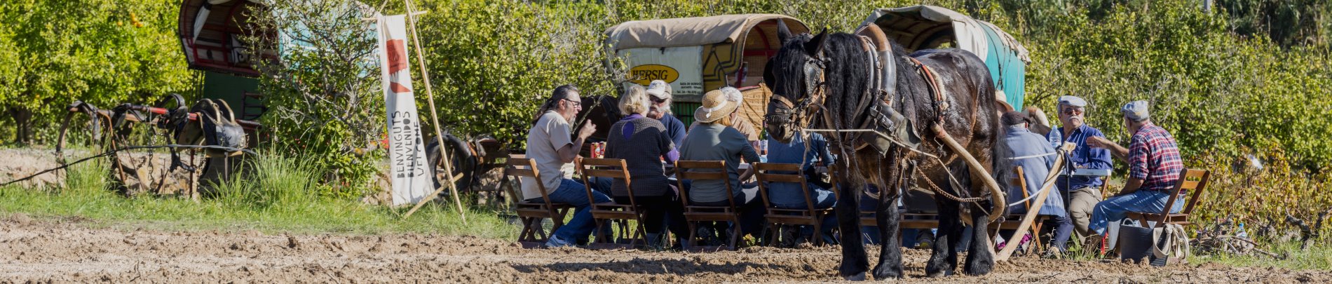 Foto en la que aparecen varias personas sentadas en una mesa con un carro de caballos al fondo