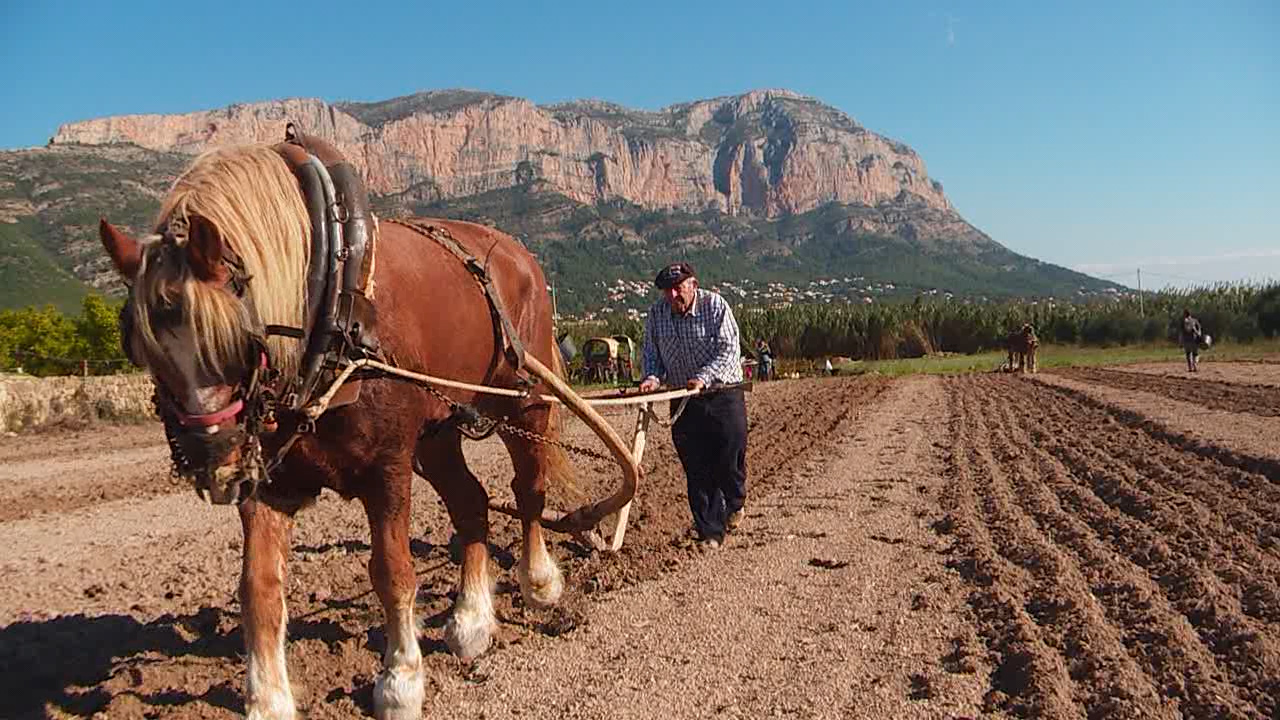 Foto en la que se labra el campo con una máquina y la ayuda de un caballo.