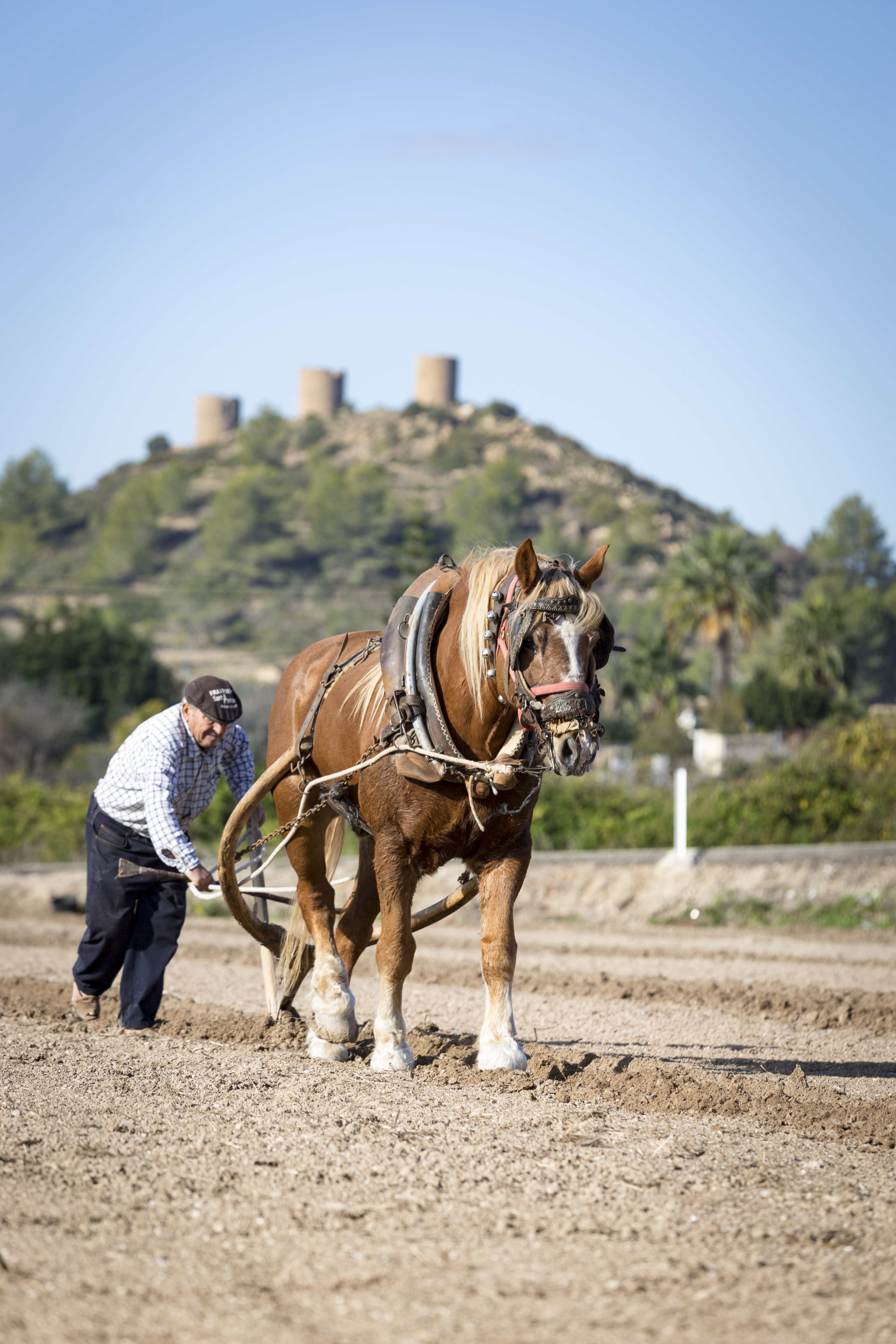 Foto en la que se labra el campo con una máquina y la ayuda de un caballo.
