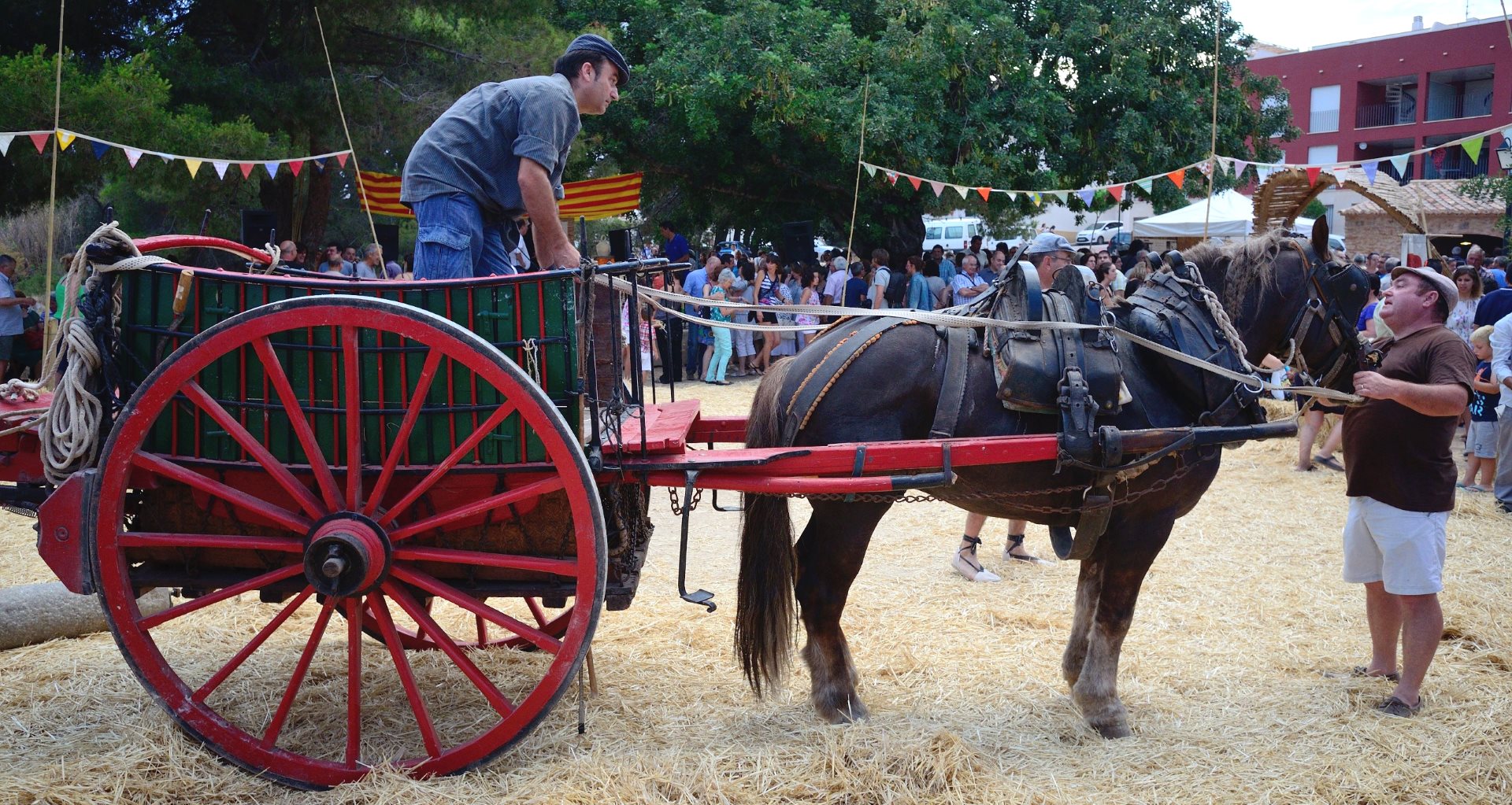 Se puede ver un carruaje llevado por caballos en el mercado.