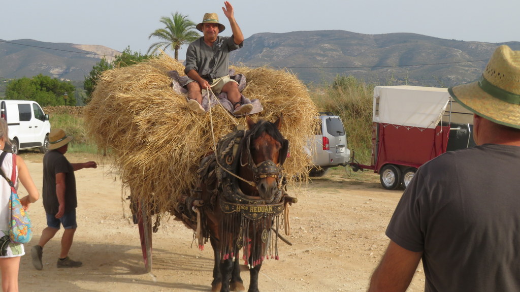 Foto de una persona subida a un caballo llevando balas de paja para la Festa del Batre